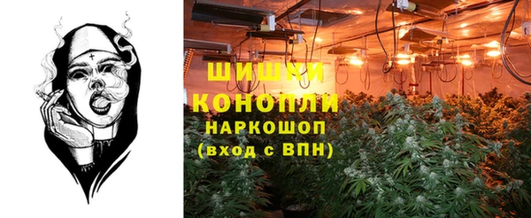 дживик Нязепетровск