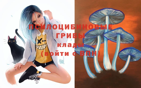 синтетический гашиш Осинники