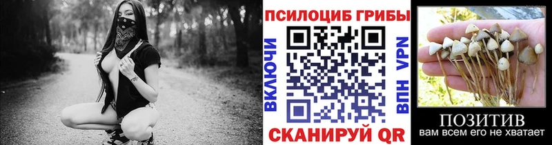 kraken зеркало  где найти наркотики  Сорочинск  Галлюциногенные грибы Cubensis 