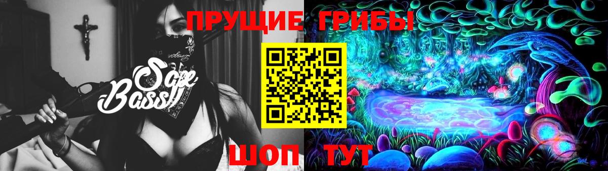 Псилоцибиновые грибы Psilocybe Сорочинск